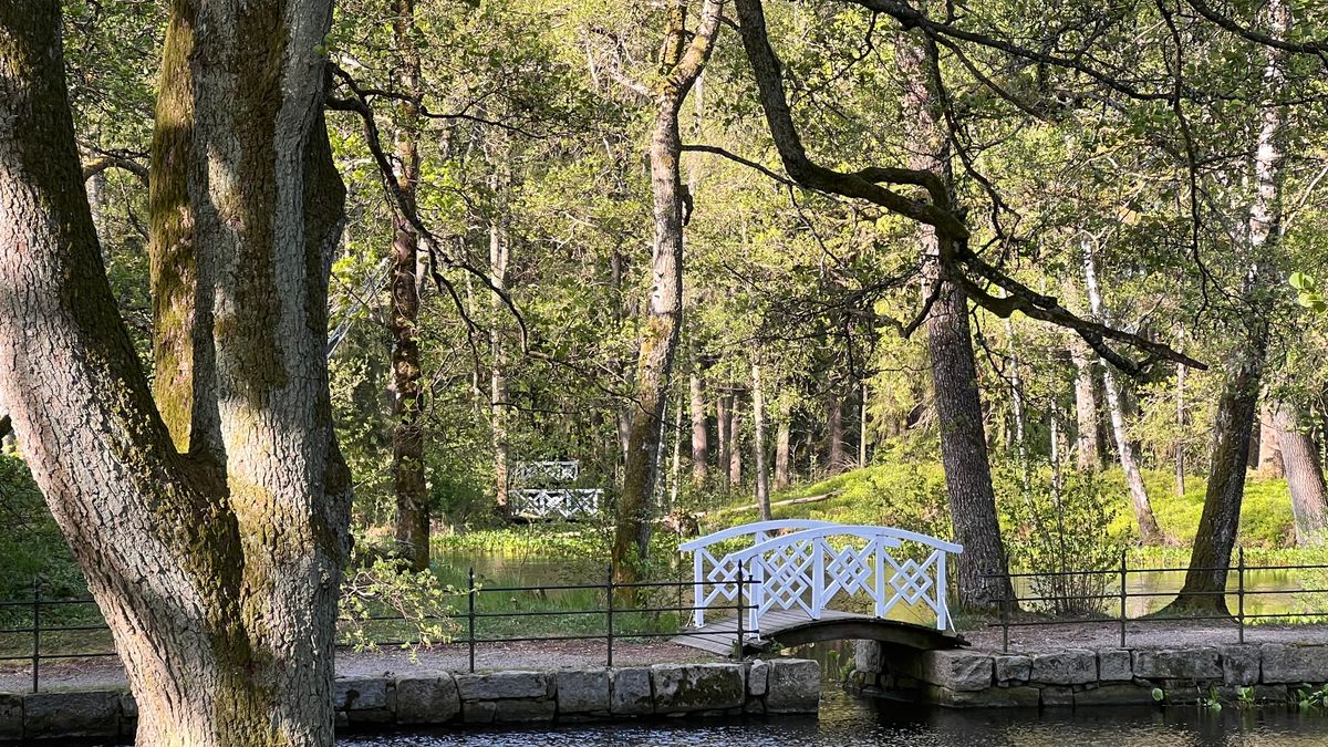 Bru over dammen på Tomb