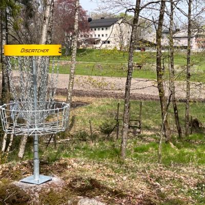 Diskgolf-kurv