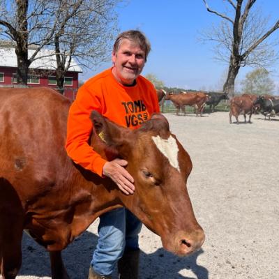 Fjøsmester klapper hodet til ei ku