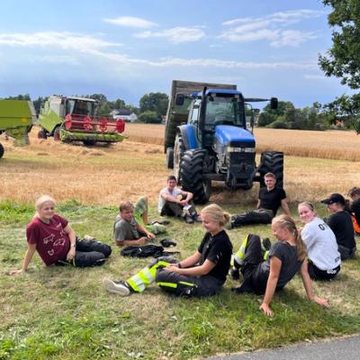 Elever sitter i gruppe, tresking. 