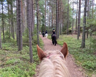 Elever på ridetur i skogen.
