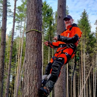 Elev som klatrer i skogbruk.