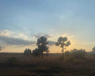 Vakker solnedgang