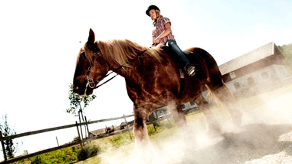 Hest med elev på ryggen.