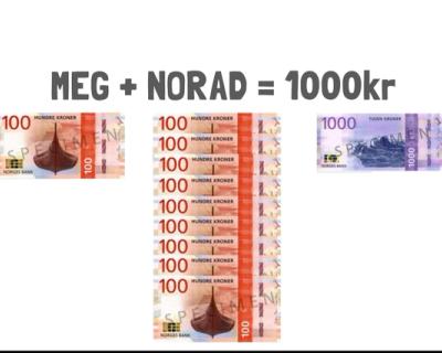 Modell 100 kr + 900 kr = 1000 kr