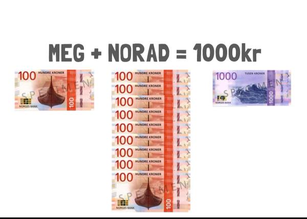 Norad støtter 90 % - en modell