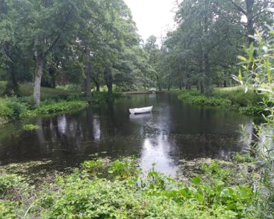 Robåt i dam i parken på Tomb.