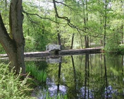 Hvit bro og dam-anlegg i parken på Tomb.