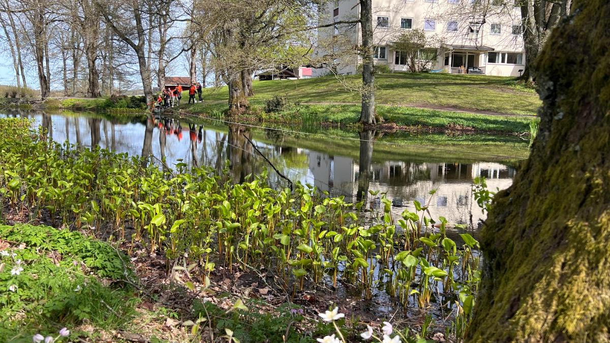 Dam med ulike planter i forgrunnen. Bakenfor ses et stort hvitt bygg, et internat.